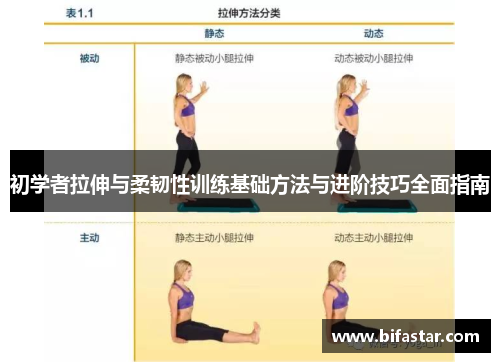 初学者拉伸与柔韧性训练基础方法与进阶技巧全面指南